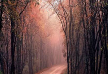 隊記：湖人依然將在交易市場保持積極進取 將傾向於臨近截止日時出手首輪選秀權.