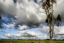 [NBA]亚历山大分外线 威廉姆斯弧顶三分一箭穿心.