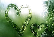 羽毛球亚团赛 中国1比3不敌印尼收获亚军.