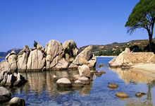 歐文表示領導力並非我想象的孤獨之路.